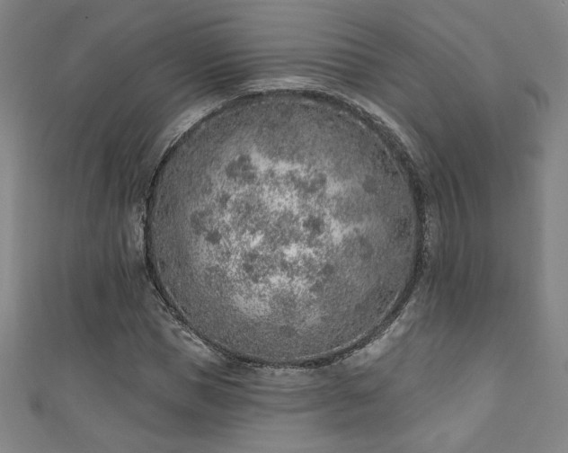 X0000111130921200906301207