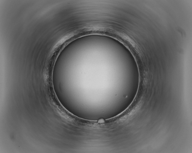 X0000111130922200906301207