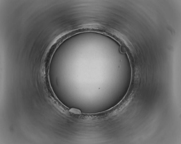 X0000111130923200906301207