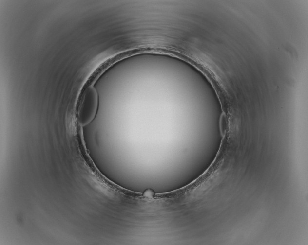 X0000111130924200906301207