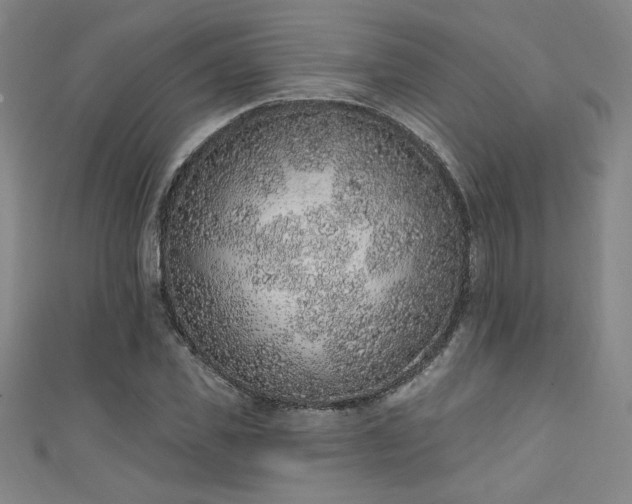 X0000111130925200906301207