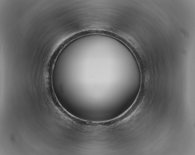 X0000111130926200906301207