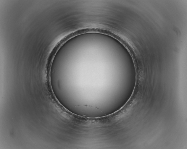 X0000111130927200906301207