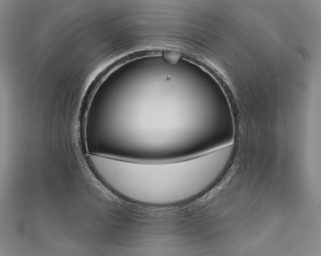 X0000111130928200906301207