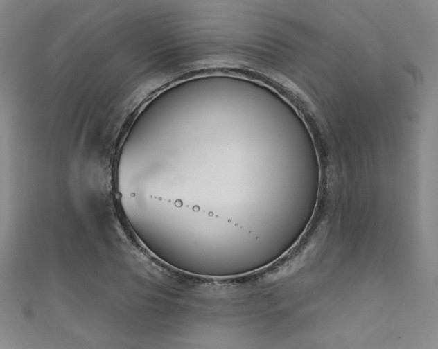 X0000111130929200906301207