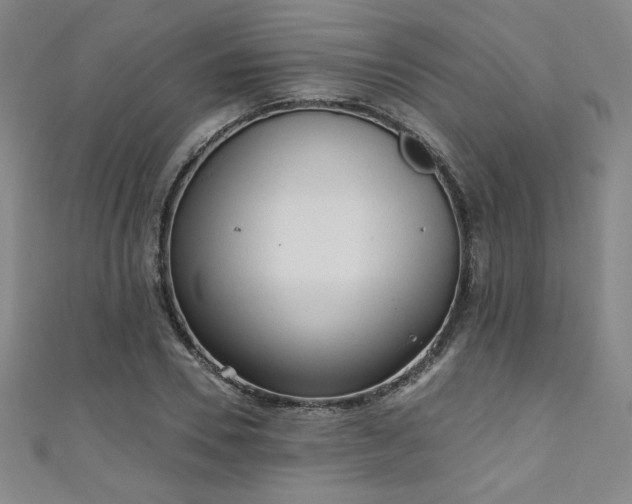 X0000111130930200906301207