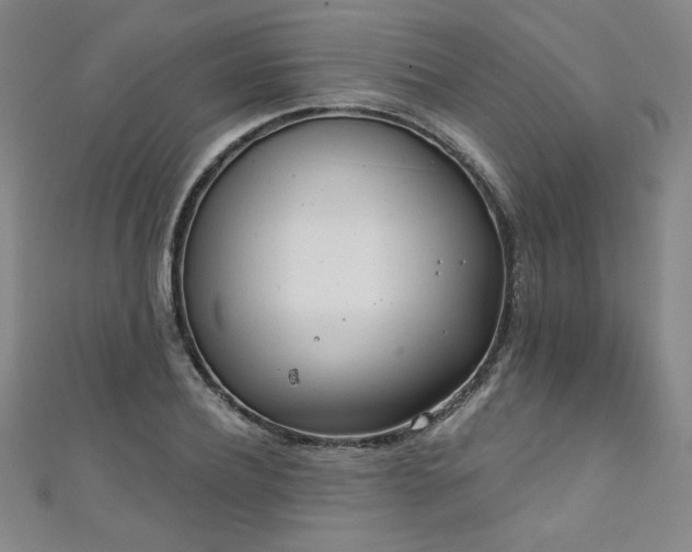 X0000111130932200906301207