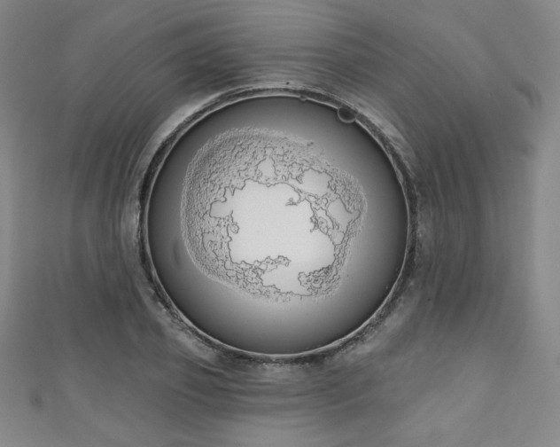 X0000111130933200906301207