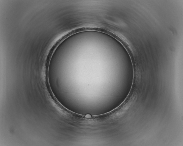 X0000111130935200906301207