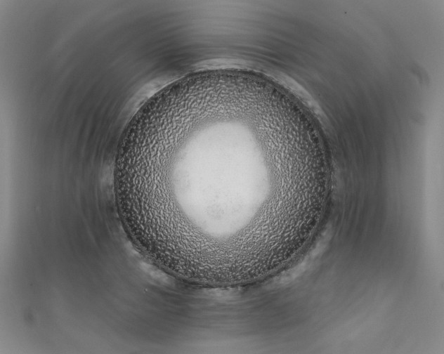 X0000111130937200906301207