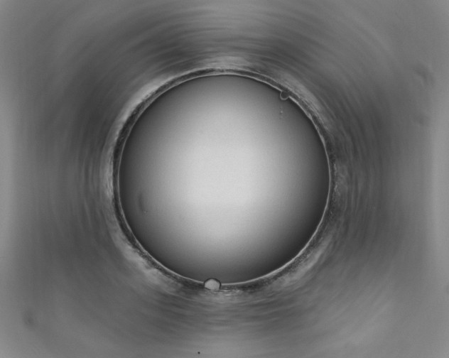 X0000111130939200906301207