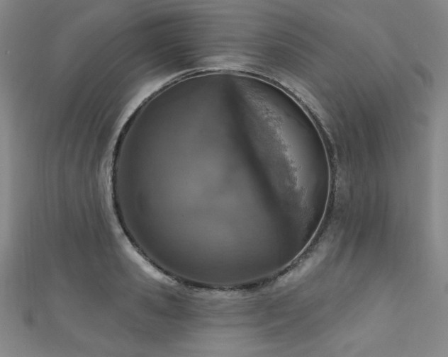 X0000111130941200906301207