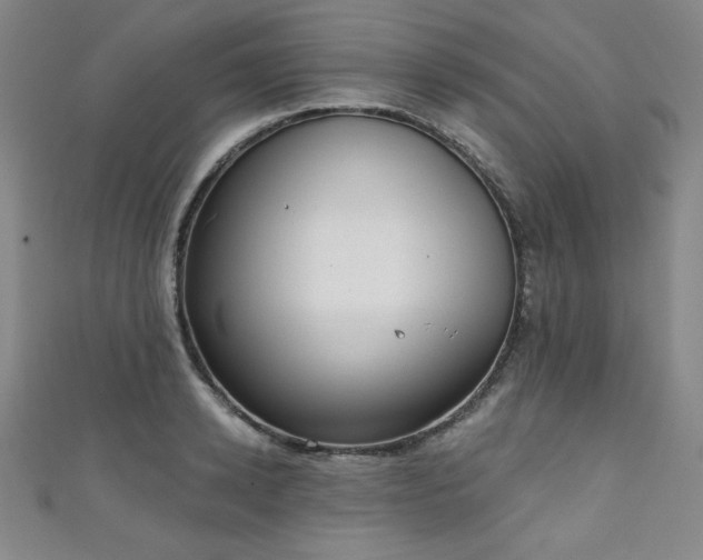X0000111130942200906301207