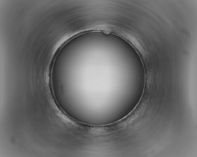 X0000111130944200906301207