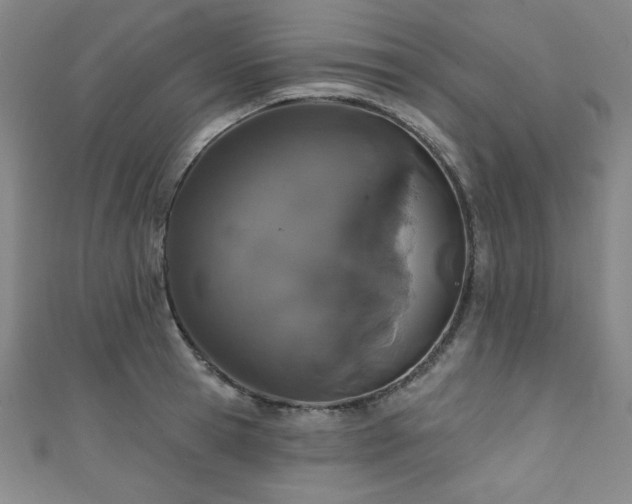 X0000111130945200906301207
