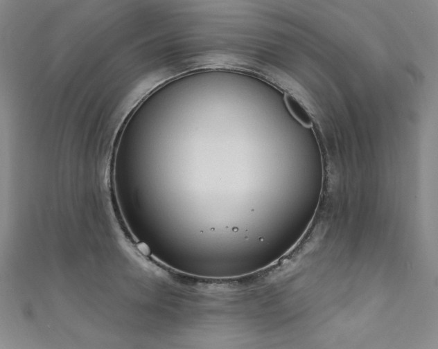 X0000111130946200906301207