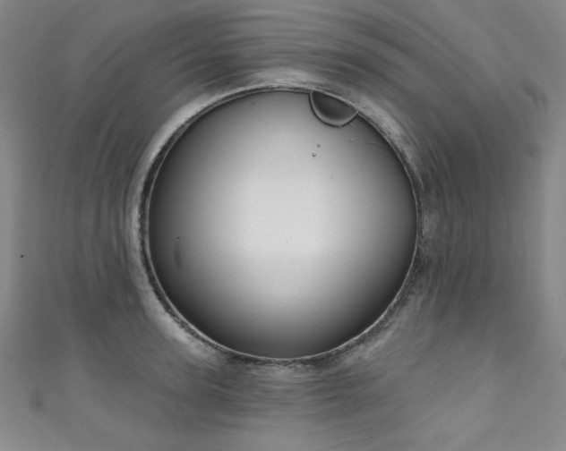 X0000111130947200906301207