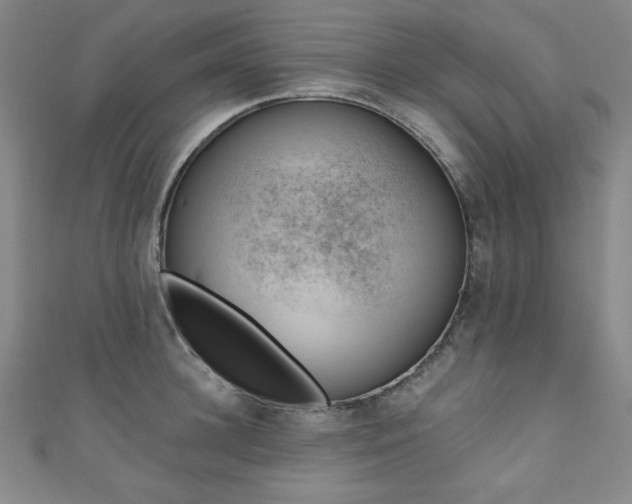 X0000111130948200906301207