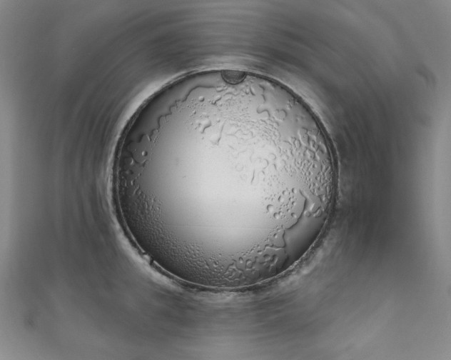 X0000111130949200906301207