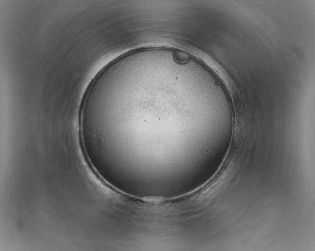 X0000111130951200906301207