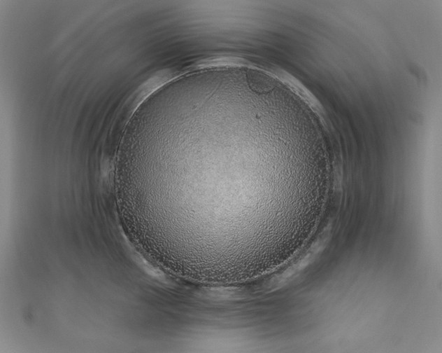 X0000111130953200906301207