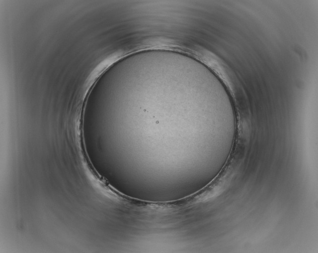 X0000111130954200906301207