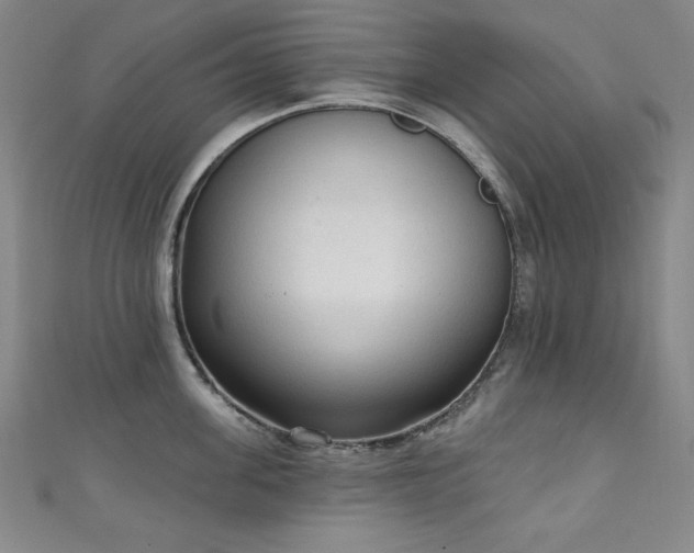 X0000111130955200906301207