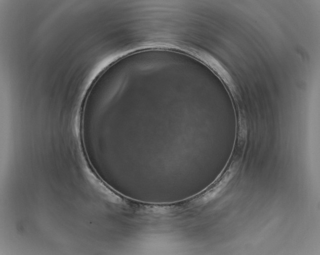 X0000111130958200906301207