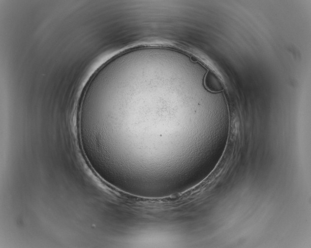 X0000111130959200906301207