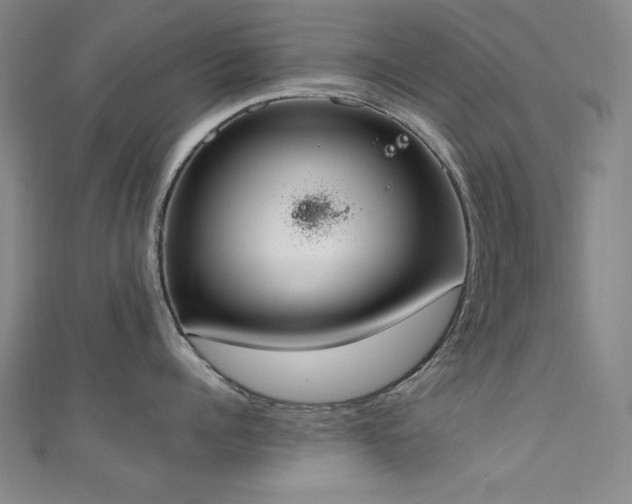 X0000111130960200906301207