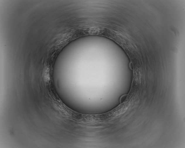 X0000111130962200906301207