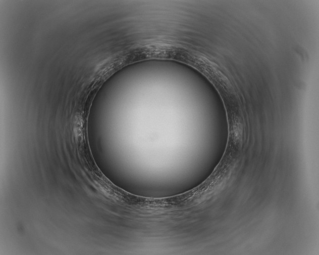 X0000111130964200906301207