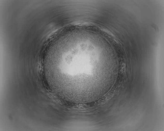 X0000111130966200906301207