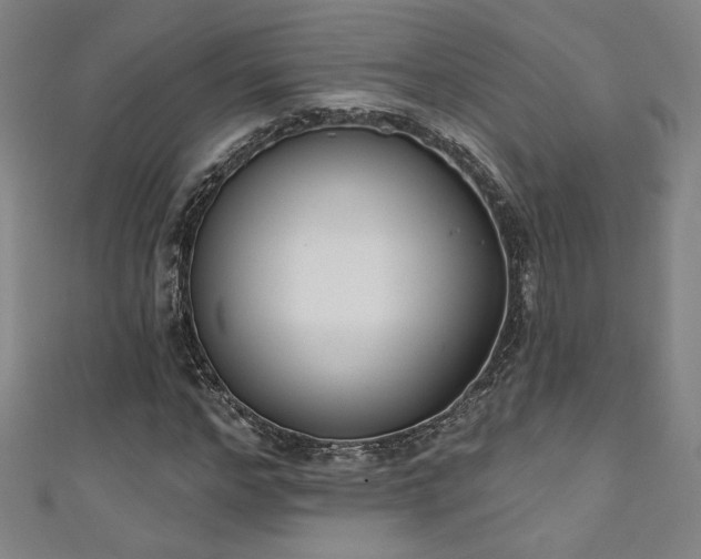 X0000111130968200906301207