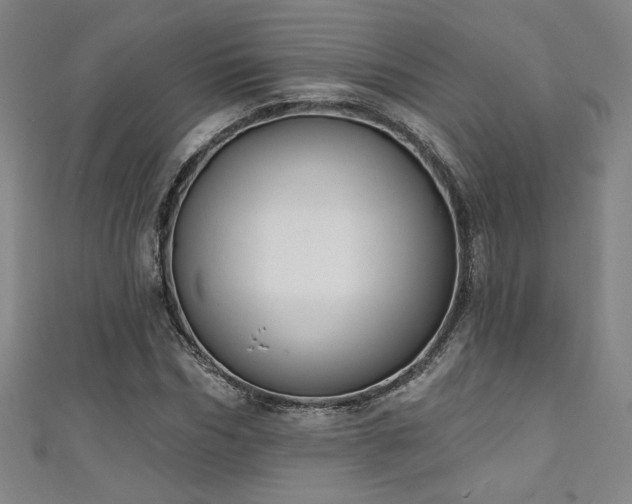X0000111130970200906301207