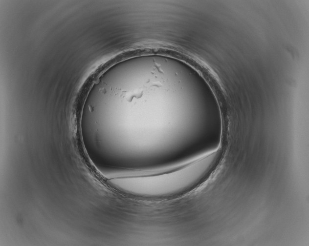 X0000111130973200906301207