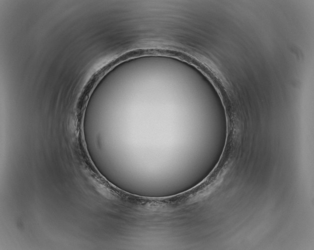 X0000111130974200906301207