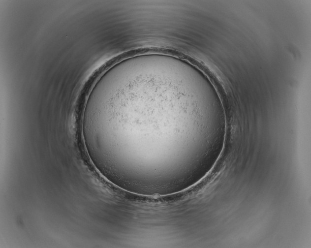 X0000111130975200906301207