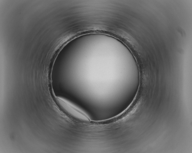 X0000111130977200906301207