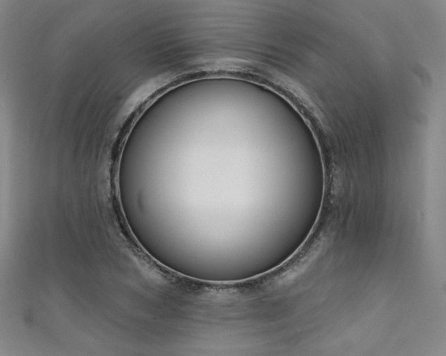 X0000111130978200906301206