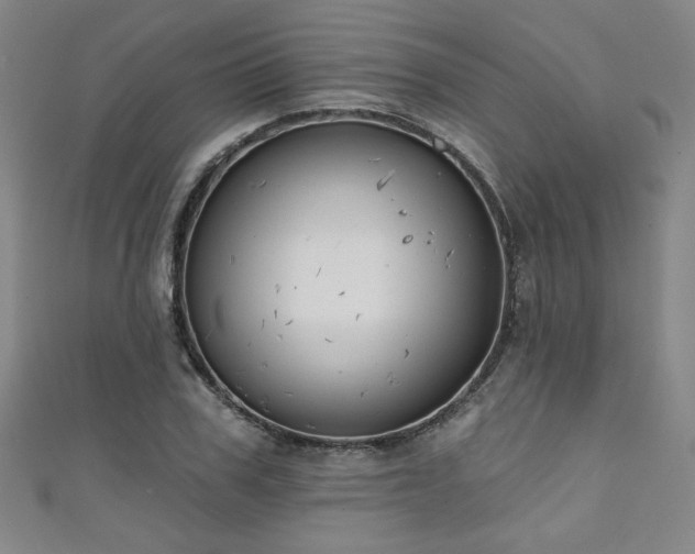 X0000111130979200906301206