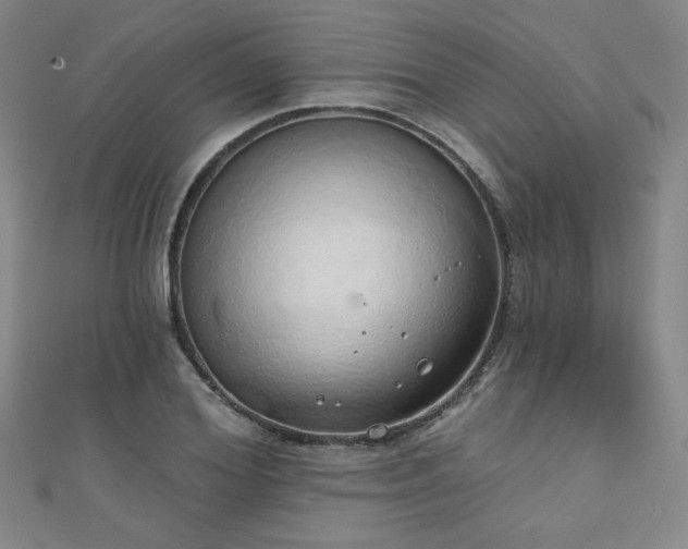 X0000111130980200906301206