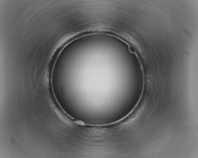 X0000111130981200906301206