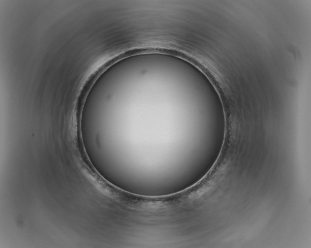 X0000111130982200906301206