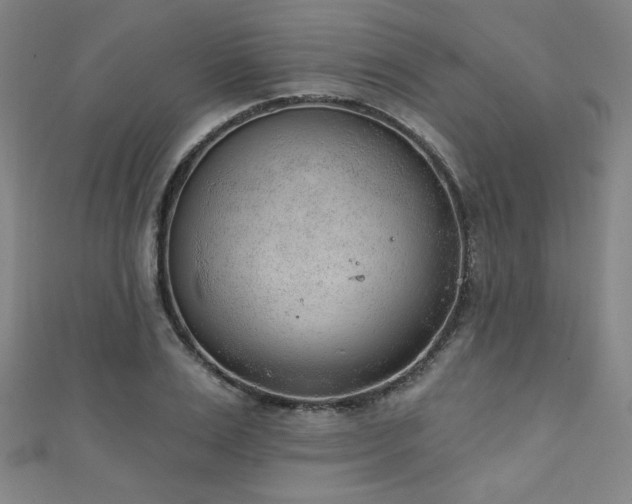 X0000111130983200906301206