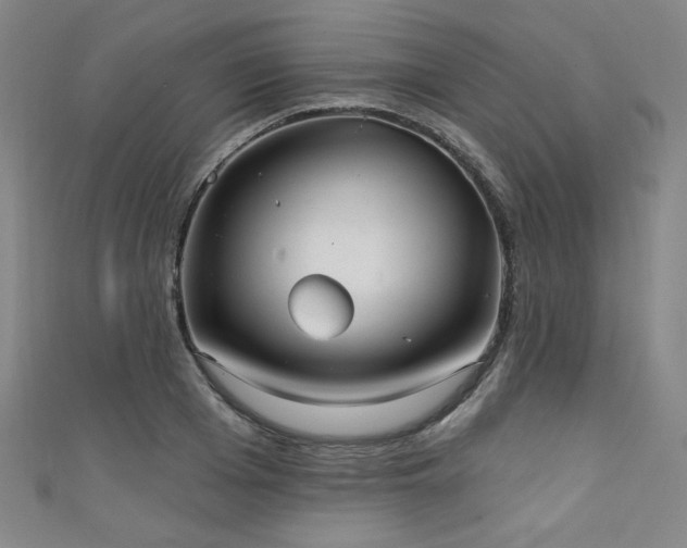 X0000111130985200906301206