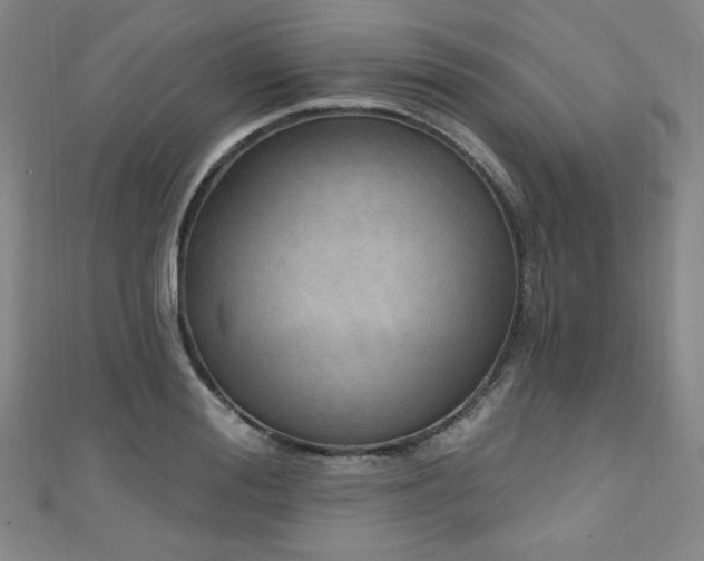X0000111130988200906301206