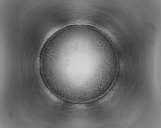 X0000111130990200906301206