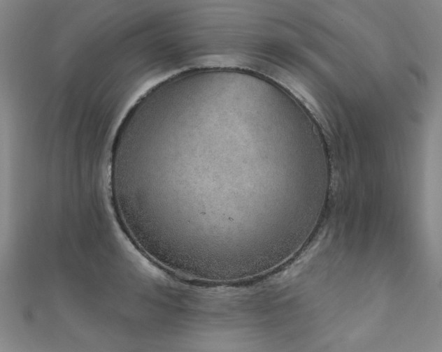 X0000111130992200906301206