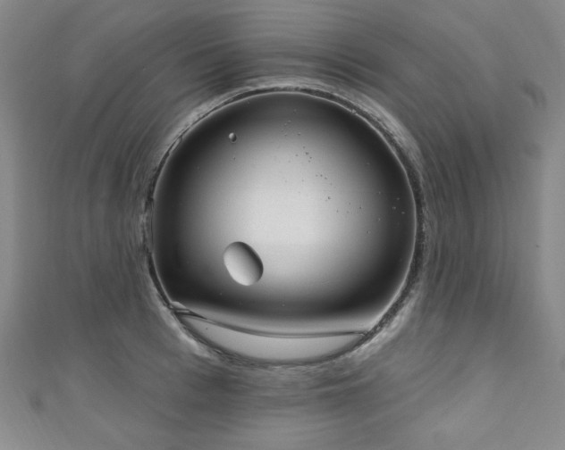 X0000111130993200906301206